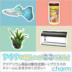 ペット用品ならチャーム