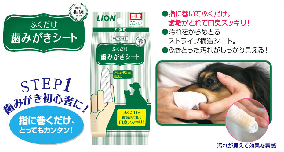 市場 期間限定ポイント10倍 30枚入り 無香料 6セット 歯みがきシート PETKISS はみがき 送料込み