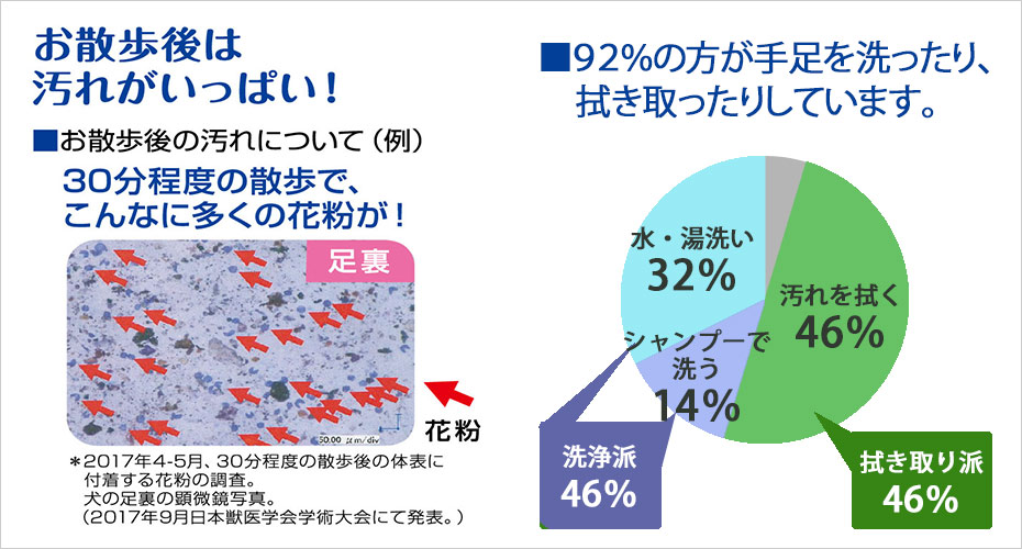 お出かけ時の毎日洗える泡シャンプー