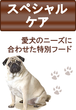 子犬用 超小型犬 中型犬 大型犬 妊娠 授乳中の 母犬にも最適 成犬用 超小型犬 小型犬 中型犬 大型犬 シニア用 超小型犬 小型犬 中型犬 大型 犬 ラム 皮膚被毛の健康に 大切な亜鉛や ビタミンbが豊富 子犬用 成犬用 シニア用 鹿肉 低脂質でタンパク質が豊富
