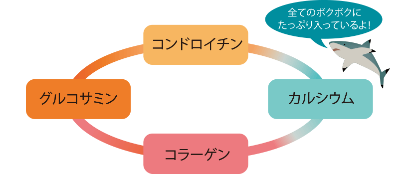 全てのボクボクにたっぷり入ってるよ！