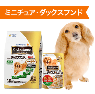 ミニチュア・ダックスフンド