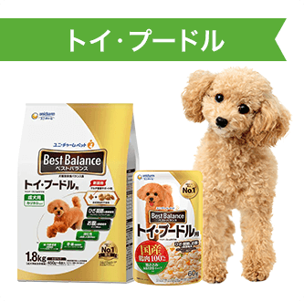 トイ・プードル